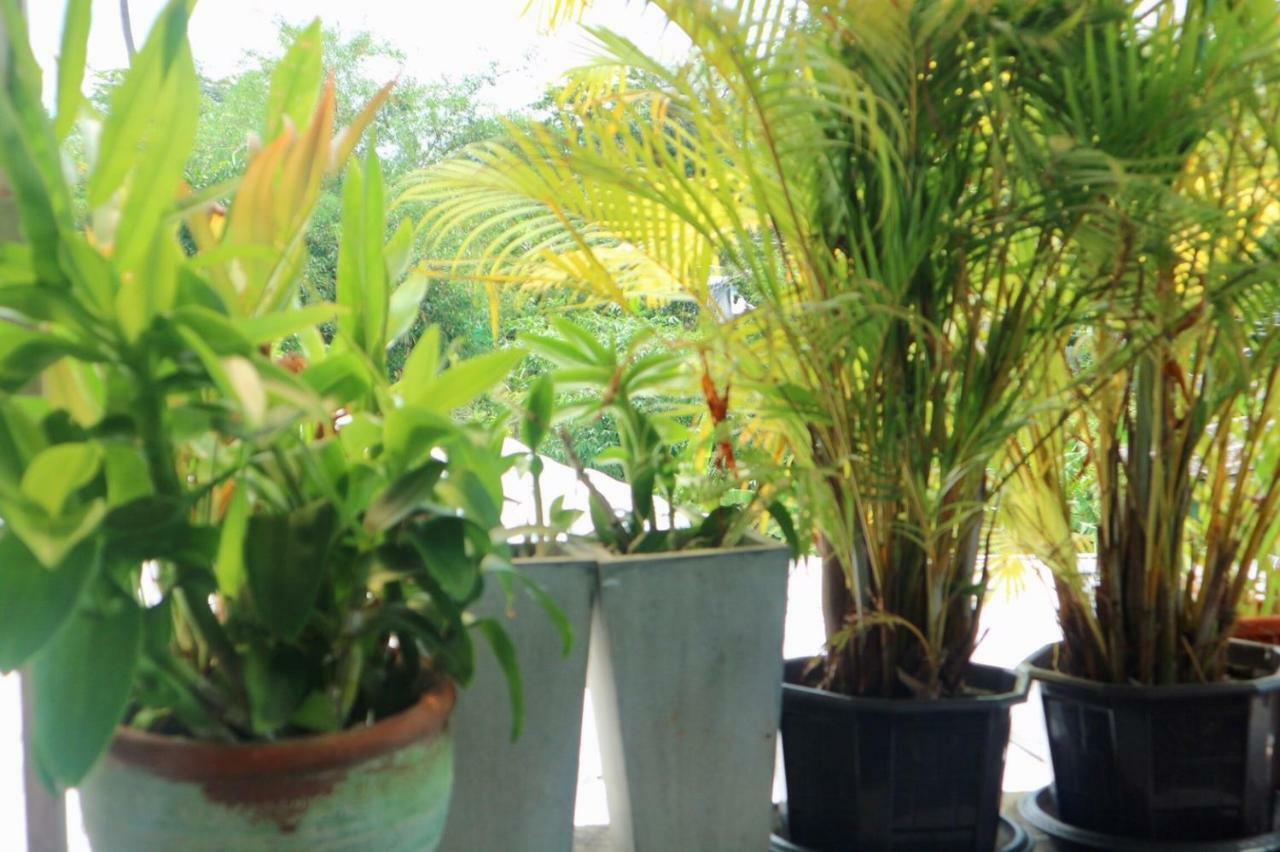 Pakta Phuket - Sha Plus Exteriér fotografie